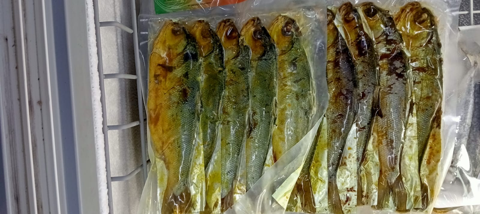 Ikan Beku